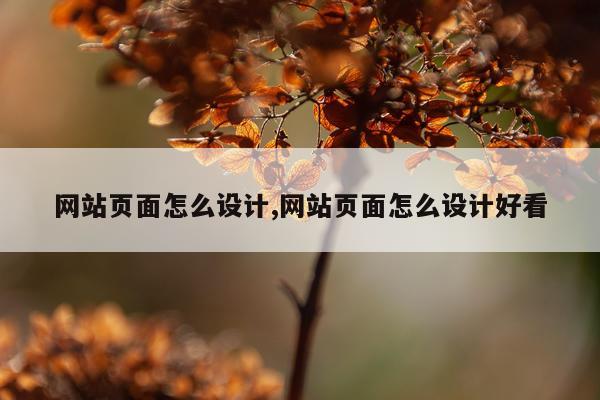 网站页面怎么设计,网站页面怎么设计好看