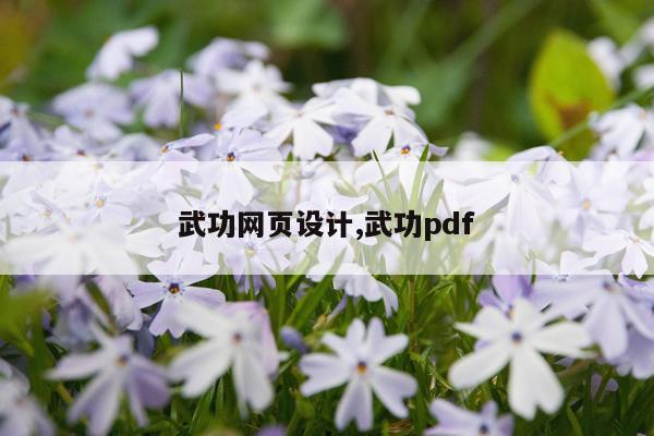 武功网页设计,武功pdf