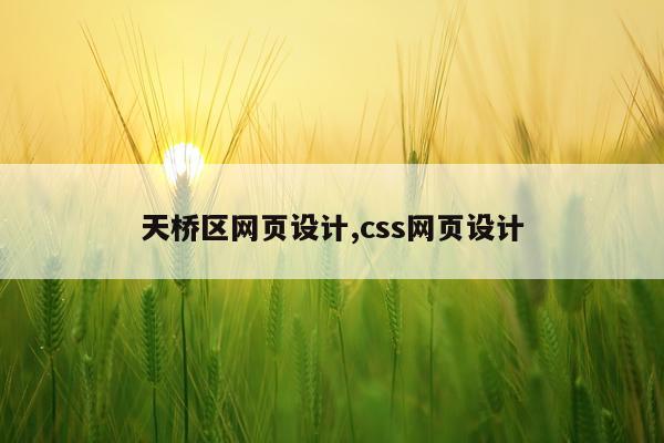 天桥区网页设计,css网页设计