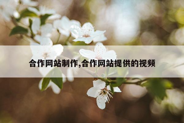 合作网站制作,合作网站提供的视频