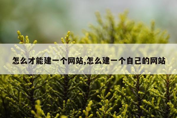 怎么才能建一个网站,怎么建一个自己的网站