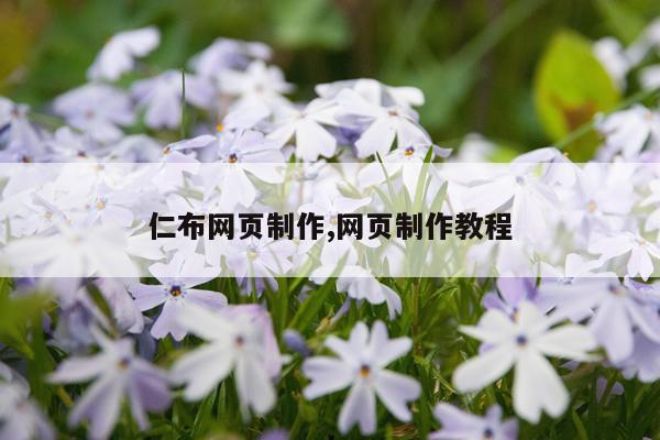 仁布网页制作,网页制作教程