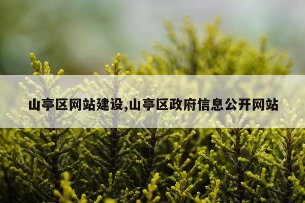 山亭区网站建设,山亭区政府信息公开网站