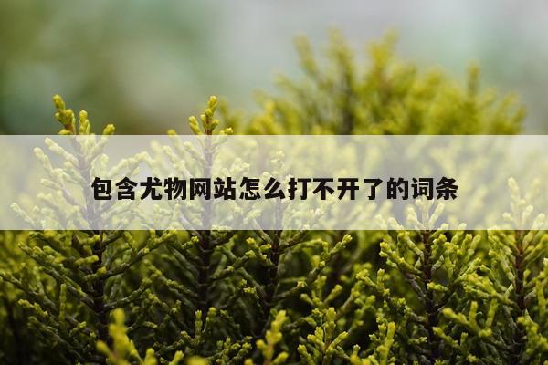包含尤物网站怎么打不开了的词条
