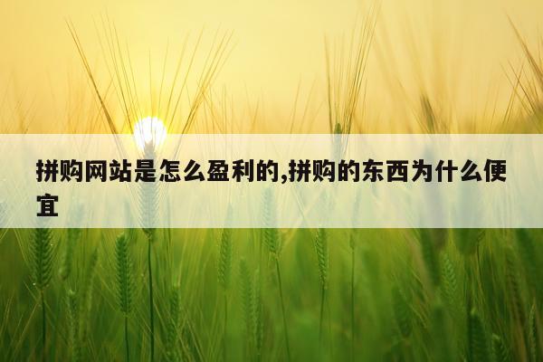 拼购网站是怎么盈利的,拼购的东西为什么便宜