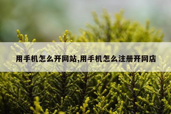 用手机怎么开网站,用手机怎么注册开网店