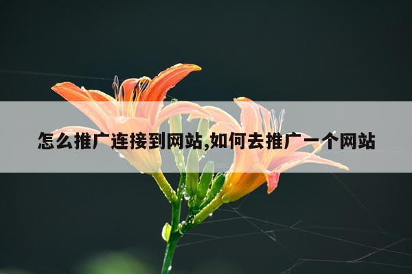 怎么推广连接到网站,如何去推广一个网站