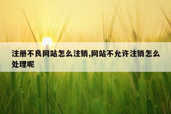 注册不良网站怎么注销,网站不允许注销怎么处理呢