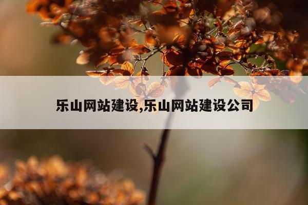 乐山网站建设,乐山网站建设公司