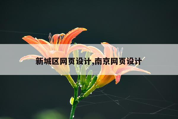 新城区网页设计,南京网页设计