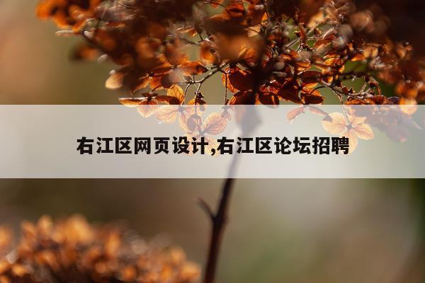右江区网页设计,右江区论坛招聘