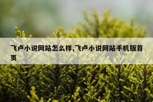 飞卢小说网站怎么样,飞卢小说网站手机版首页