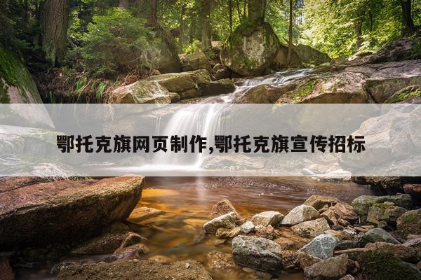 鄂托克旗网页制作,鄂托克旗宣传招标