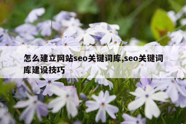 怎么建立网站seo关键词库,seo关键词库建设技巧