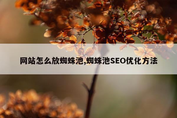 网站怎么放蜘蛛池,蜘蛛池SEO优化方法