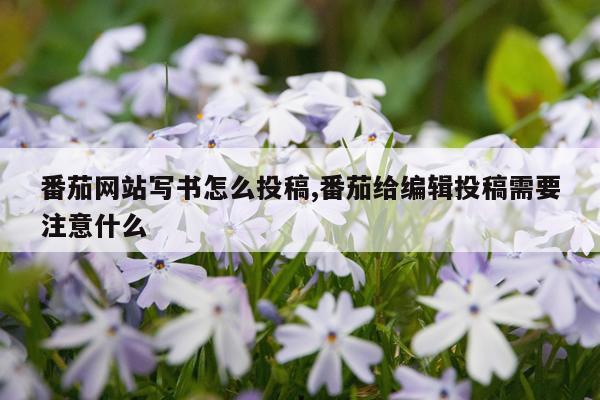 番茄网站写书怎么投稿,番茄给编辑投稿需要注意什么