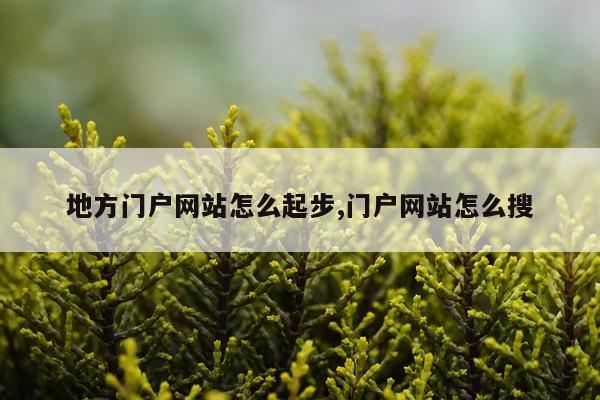 地方门户网站怎么起步,门户网站怎么搜