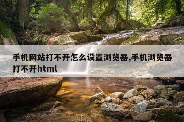 手机网站打不开怎么设置浏览器,手机浏览器打不开html