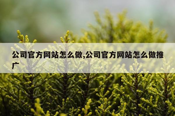 公司官方网站怎么做,公司官方网站怎么做推广
