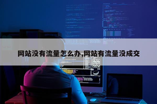 网站没有流量怎么办,网站有流量没成交