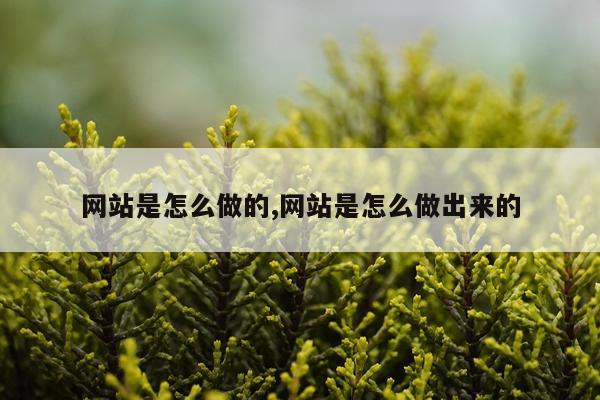 网站是怎么做的,网站是怎么做出来的
