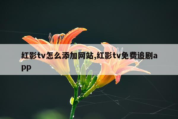 红影tv怎么添加网站,红影tv免费追剧app