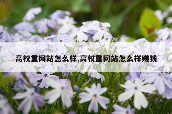 高权重网站怎么样,高权重网站怎么样赚钱