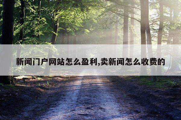 新闻门户网站怎么盈利,卖新闻怎么收费的