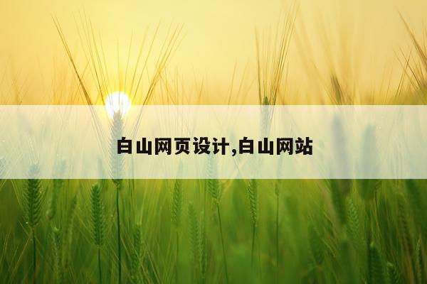 白山网页设计,白山网站