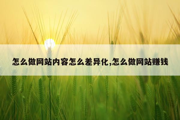 怎么做网站内容怎么差异化,怎么做网站赚钱