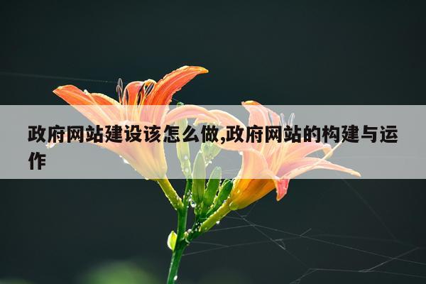 政府网站建设该怎么做,政府网站的构建与运作