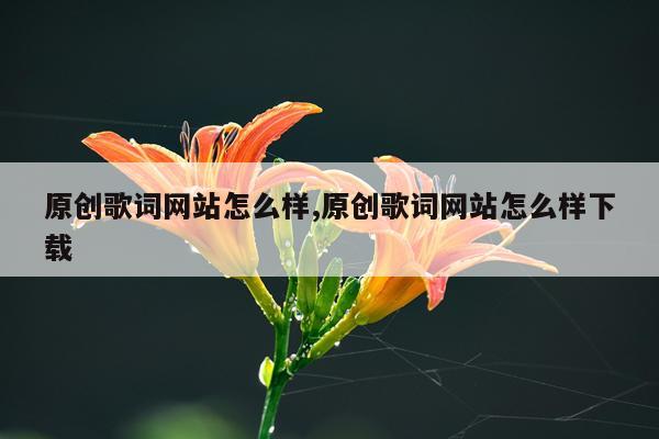 原创歌词网站怎么样,原创歌词网站怎么样下载