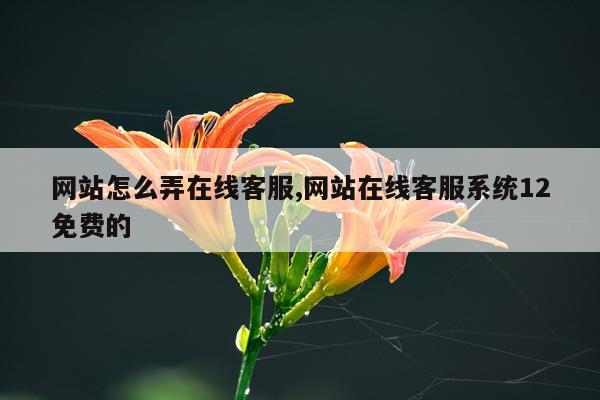 网站怎么弄在线客服,网站在线客服系统12免费的