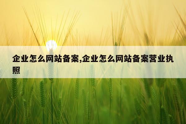 企业怎么网站备案,企业怎么网站备案营业执照
