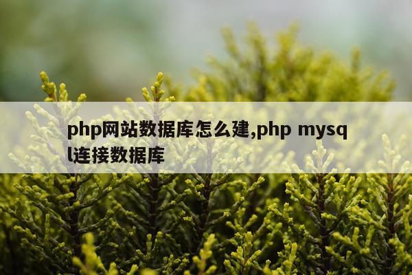 php网站数据库怎么建,php mysql连接数据库