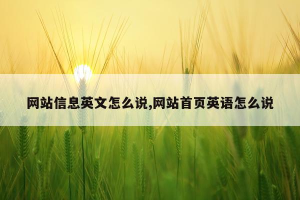 网站信息英文怎么说,网站首页英语怎么说