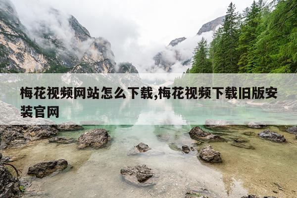 梅花视频网站怎么下载,梅花视频下载旧版安装官网