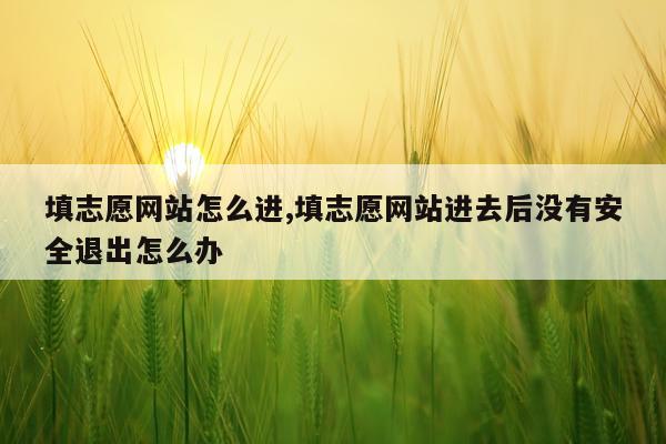 填志愿网站怎么进,填志愿网站进去后没有安全退出怎么办