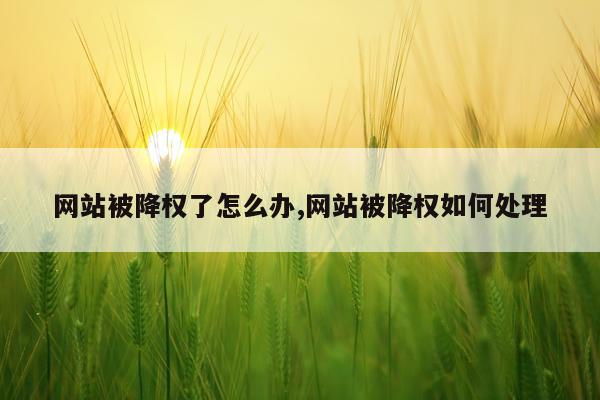 网站被降权了怎么办,网站被降权如何处理