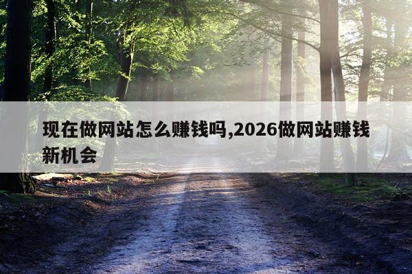 现在做网站怎么赚钱吗,2026做网站赚钱新机会