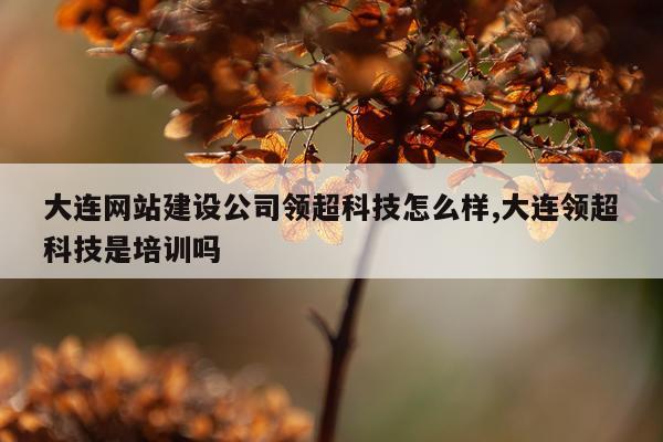 大连网站建设公司领超科技怎么样,大连领超科技是培训吗