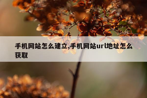 手机网站怎么建立,手机网站url地址怎么获取