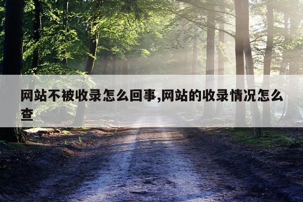 网站不被收录怎么回事,网站的收录情况怎么查