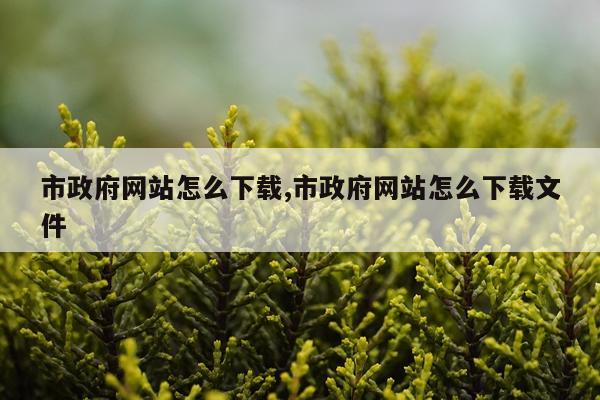 市政府网站怎么下载,市政府网站怎么下载文件