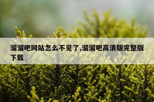 溜溜吧网站怎么不见了,溜溜吧高清版完整版下载