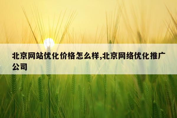 北京网站优化价格怎么样,北京网络优化推广公司