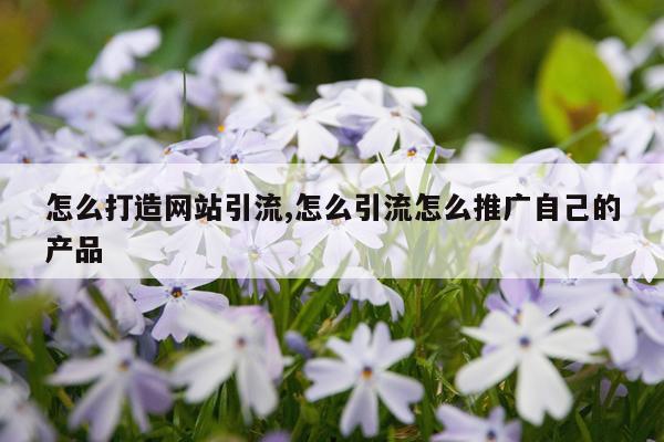 怎么打造网站引流,怎么引流怎么推广自己的产品