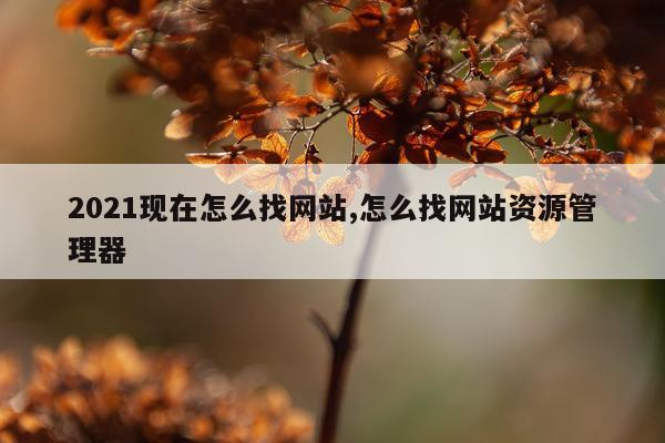 2021现在怎么找网站,怎么找网站资源管理器