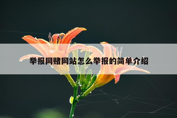 举报网赌网站怎么举报的简单介绍