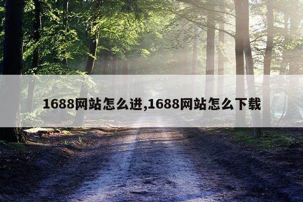 1688网站怎么进,1688网站怎么下载